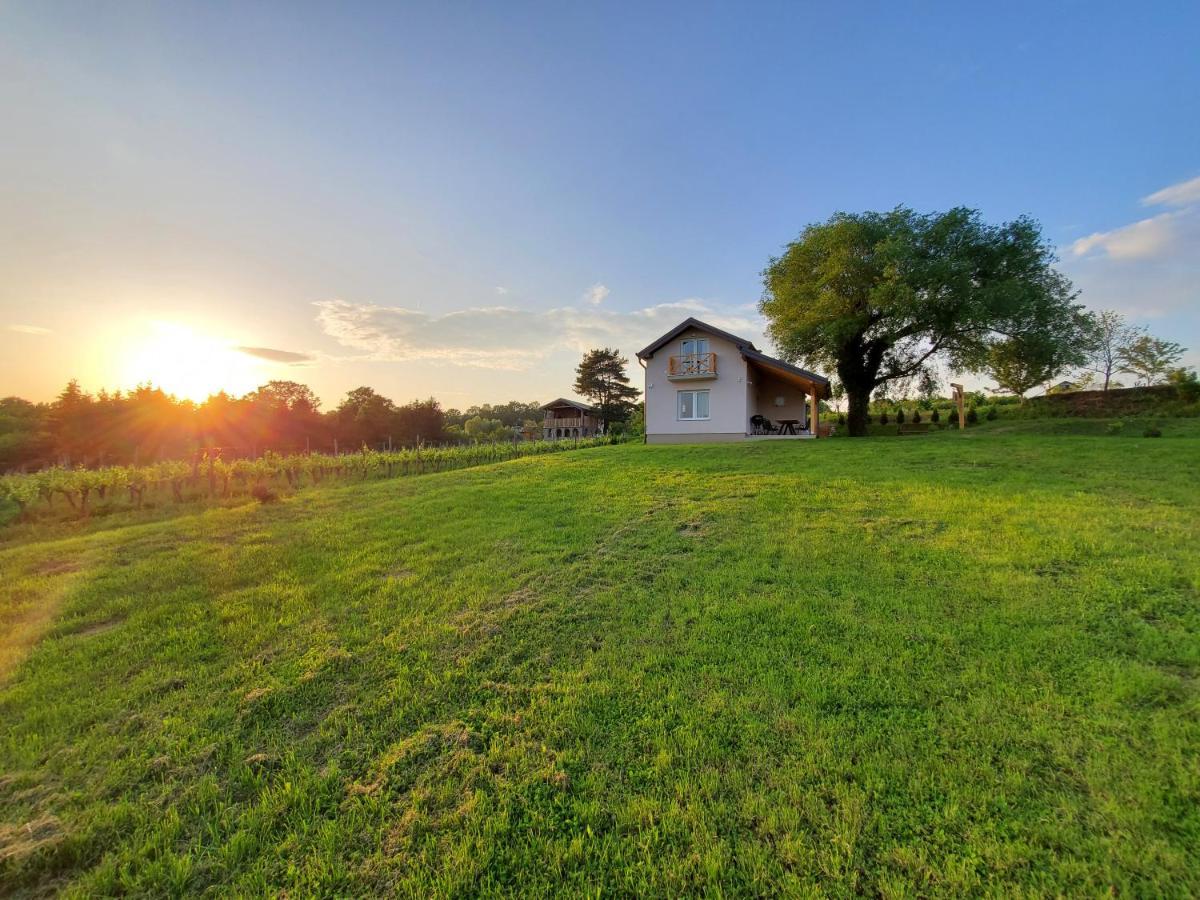 Holiday Home Vinovilla Kutjevo Luaran gambar
