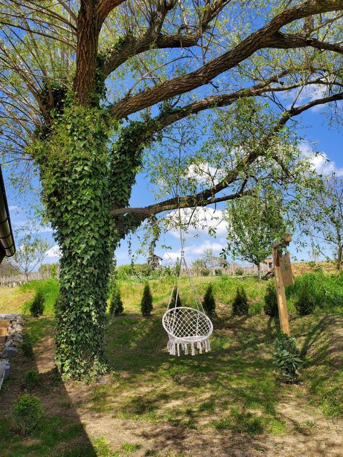Holiday Home Vinovilla Kutjevo Luaran gambar